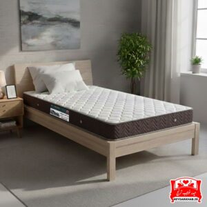 تشک طبی ریباند ترنج کلاس ۵